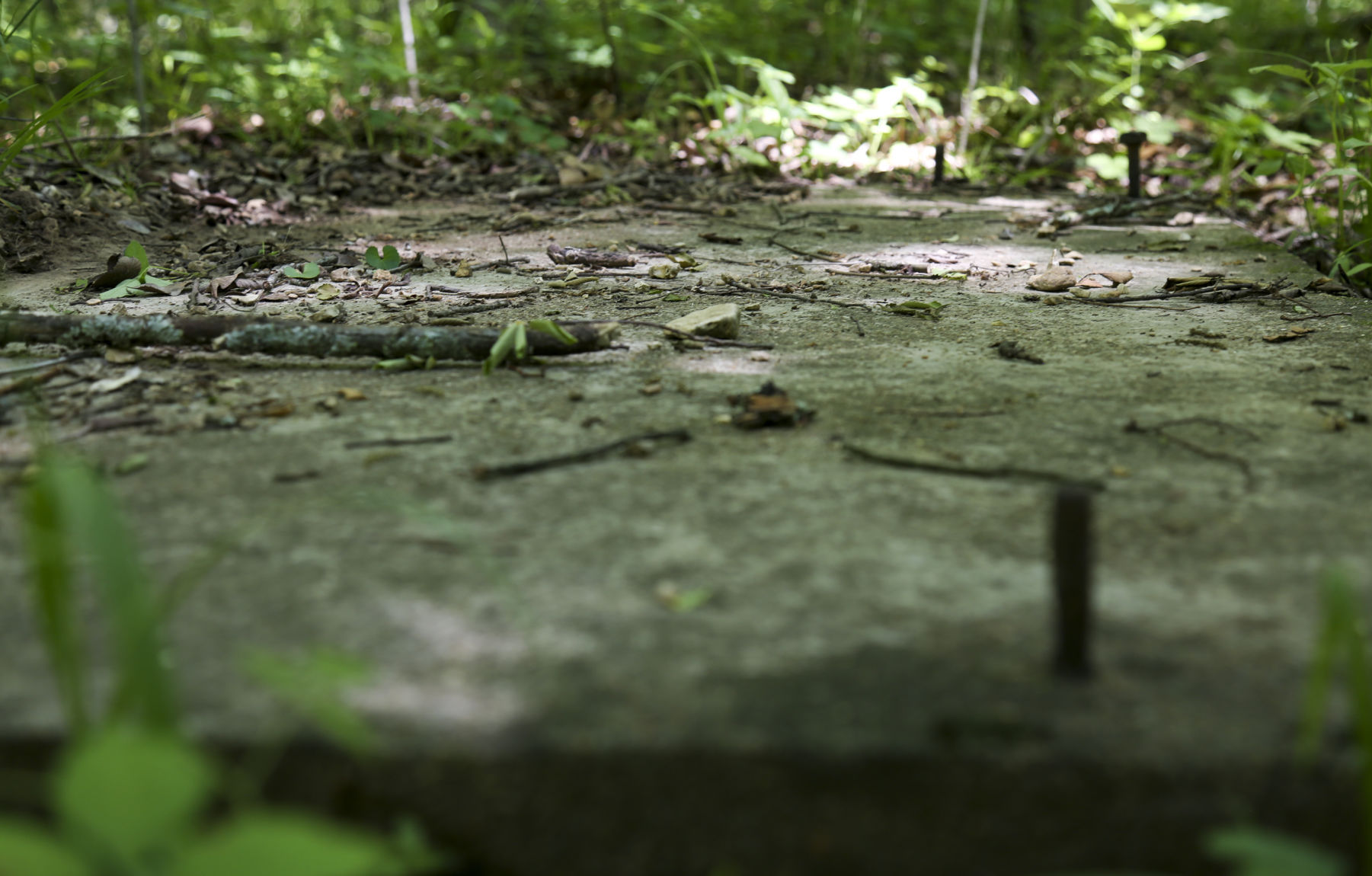 camp scott girl scout murder